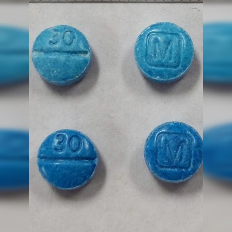 强效催春粉在哪买